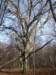 photo8_small.jpg