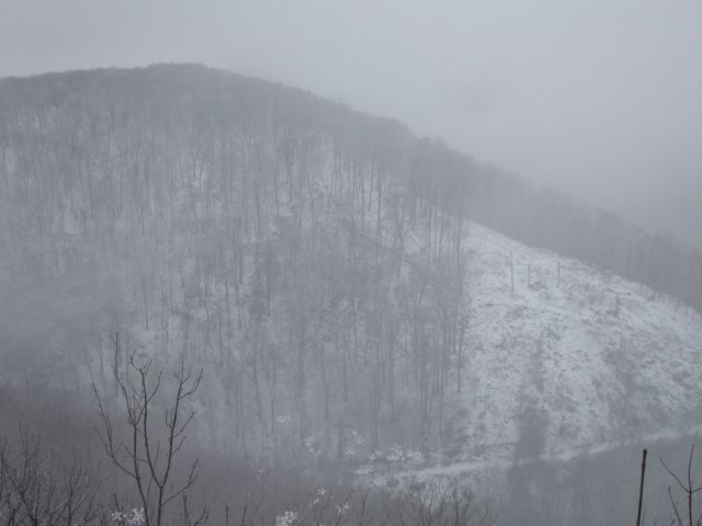 photo11.jpg
