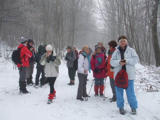 photo4.jpg
