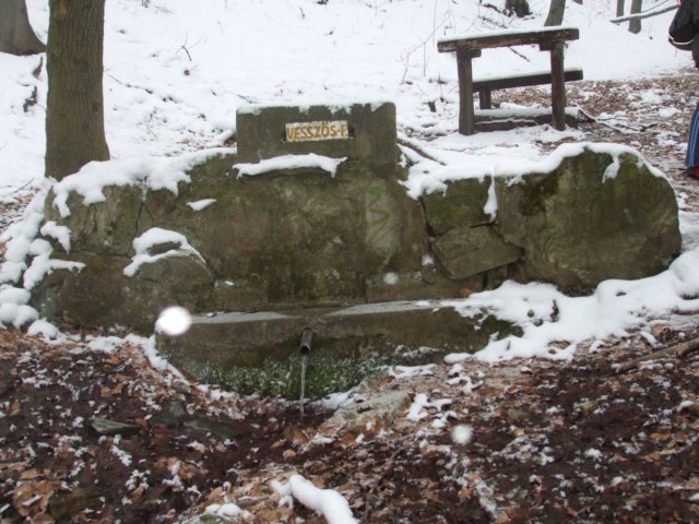 photo1.jpg