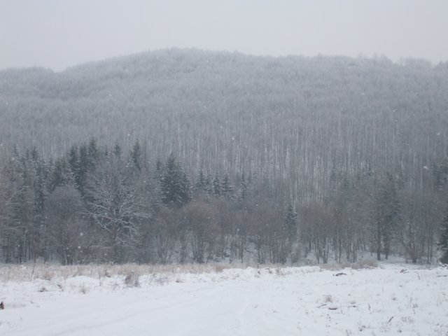 photo10.jpg