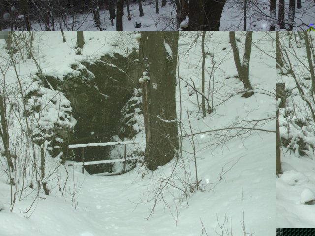 photo11.jpg