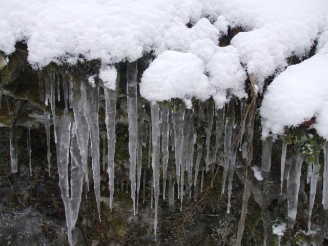 photo15.jpg