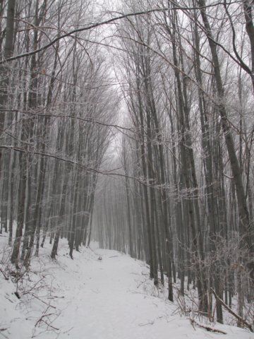 photo2.jpg