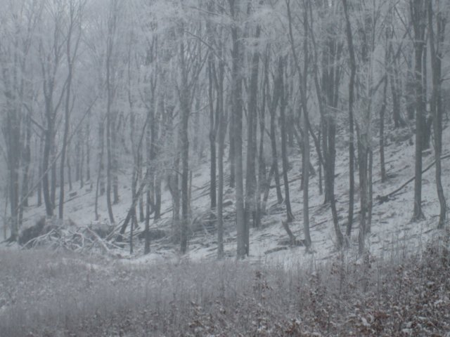 photo3.jpg