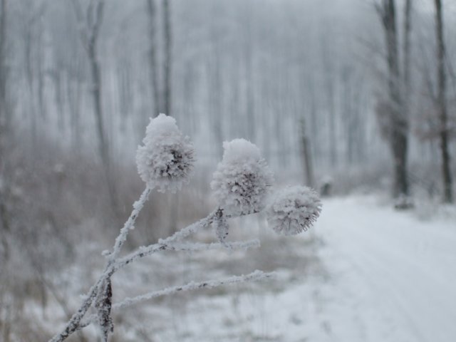 photo4.jpg