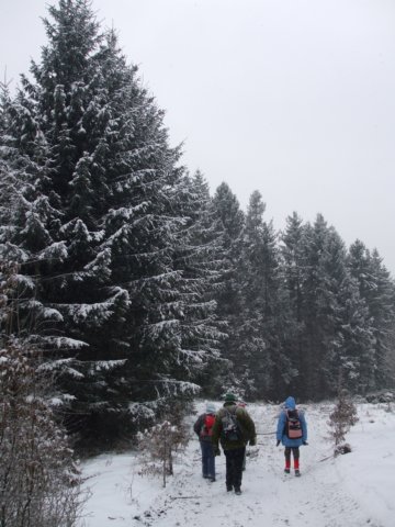 photo7.jpg