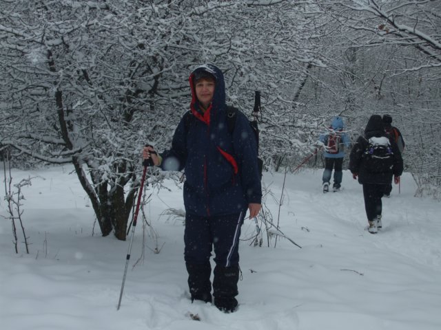 photo11.jpg