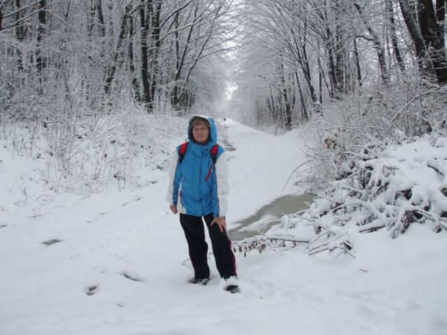 photo16.jpg