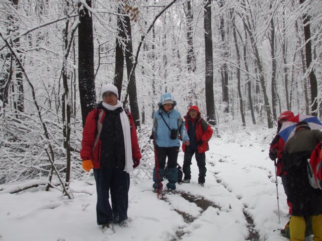 photo2.jpg