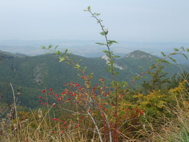 photo3.jpg