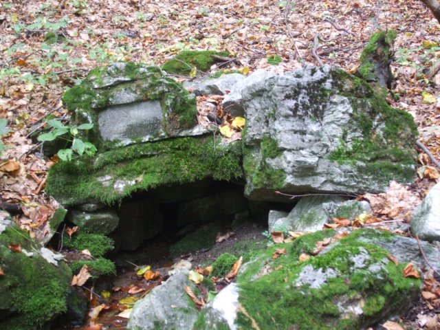 photo6.jpg