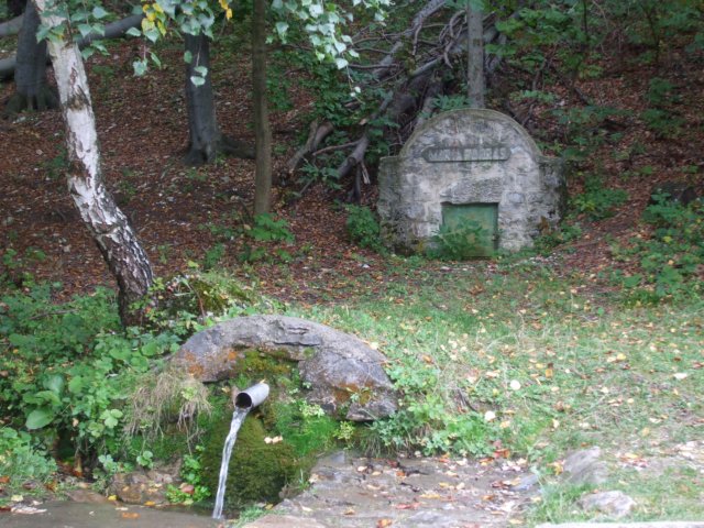 photo7.jpg