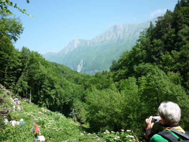 photo21.jpg