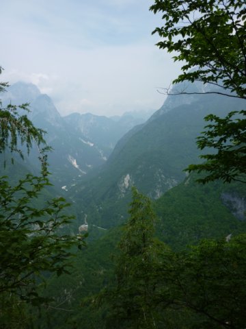 photo45.jpg