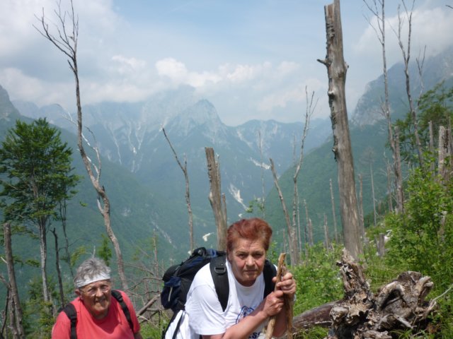 photo46.jpg