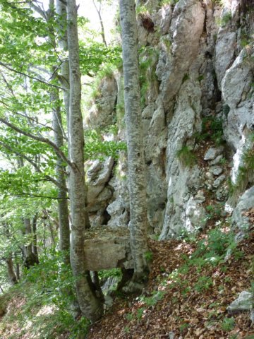 photo58.jpg