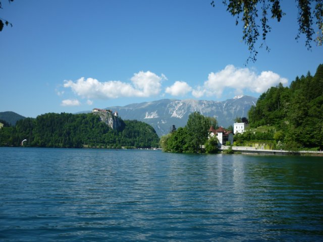 photo6.jpg