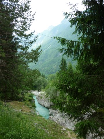 photo66.jpg