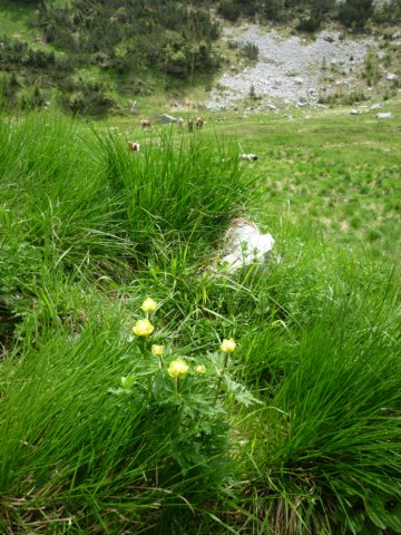 photo72.jpg