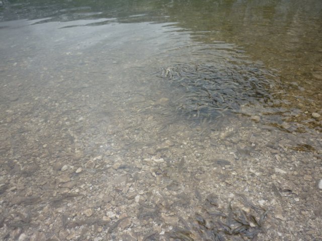 photo76.jpg