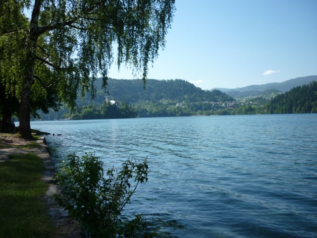 photo9.jpg