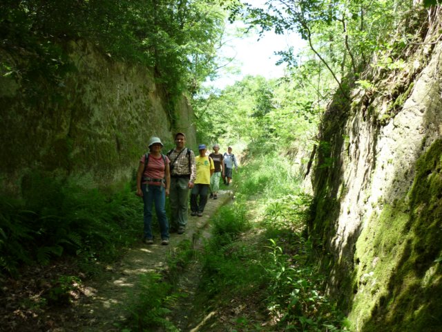 photo11.jpg