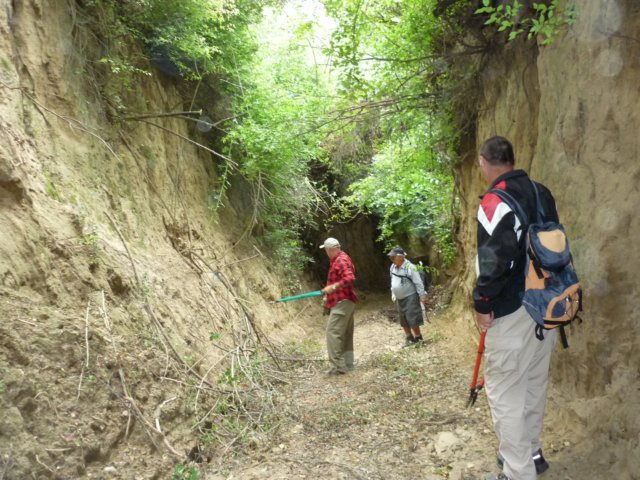 photo23.jpg
