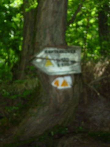 photo10.jpg