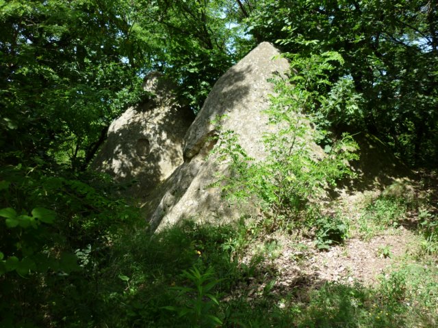photo11.jpg