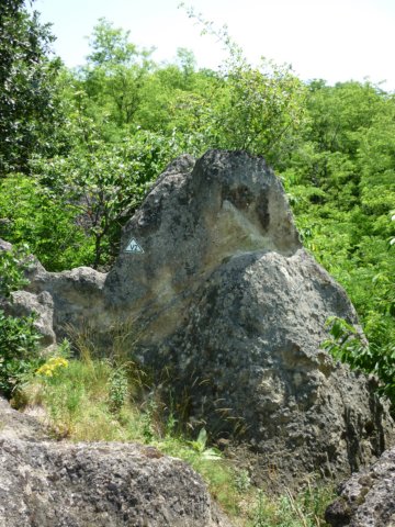 photo12.jpg