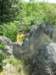 photo13_small.jpg