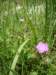 photo16_small.jpg