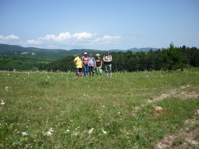 photo17.jpg