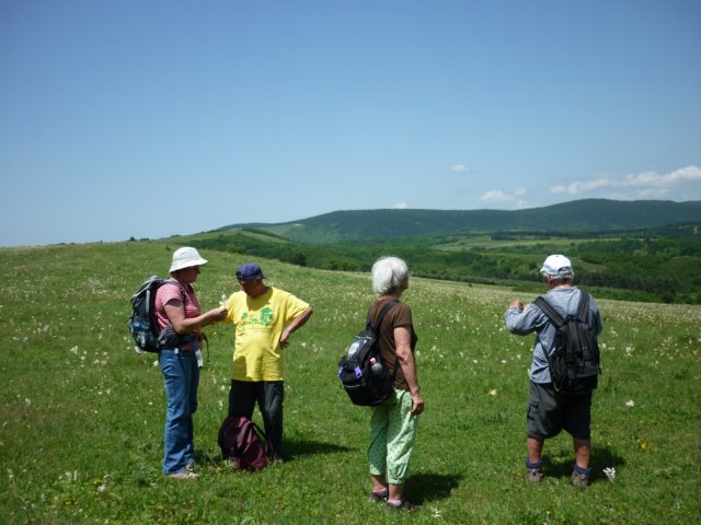 photo18.jpg