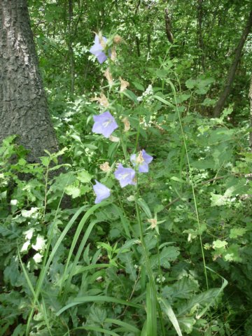 photo21.jpg