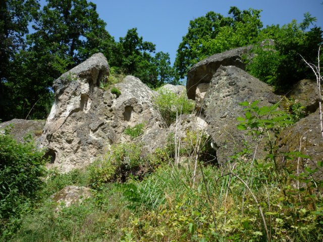 photo24.jpg