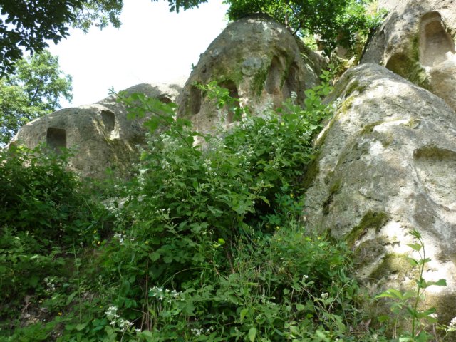 photo26.jpg