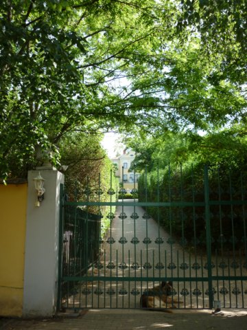 photo6.jpg