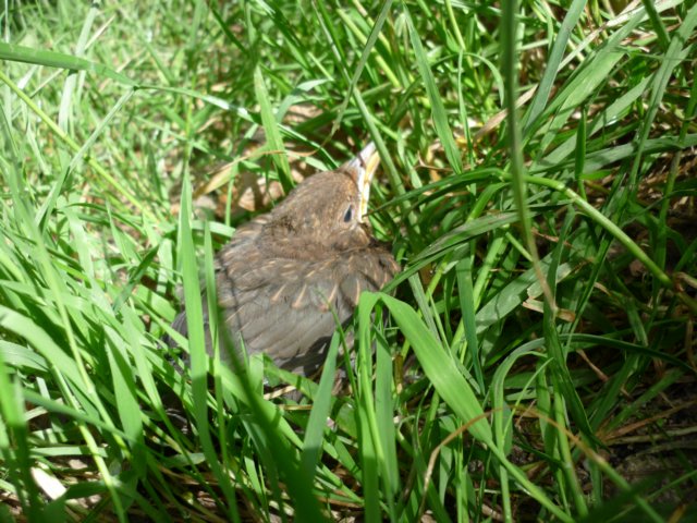 photo7.jpg