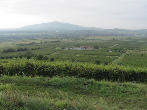 photo11.jpg