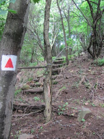 photo17.jpg