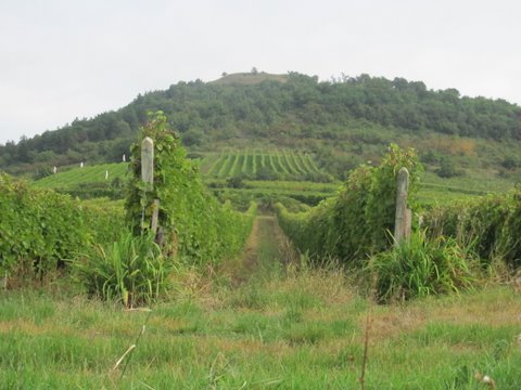 photo18.jpg