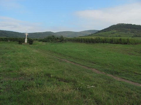 photo22.jpg