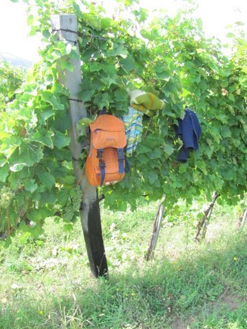 photo24.jpg