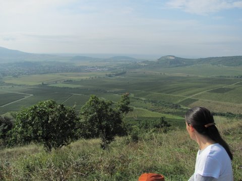 photo26.jpg