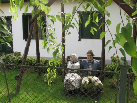 photo31.jpg