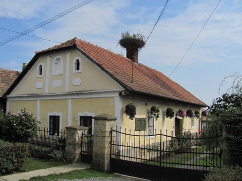 photo48.jpg