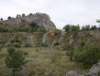 photo28_small.jpg