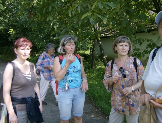 photo34.jpg
